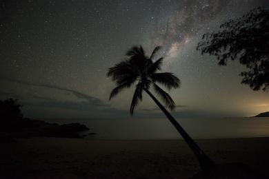 Sandee - Thala Beach Nature Reserve