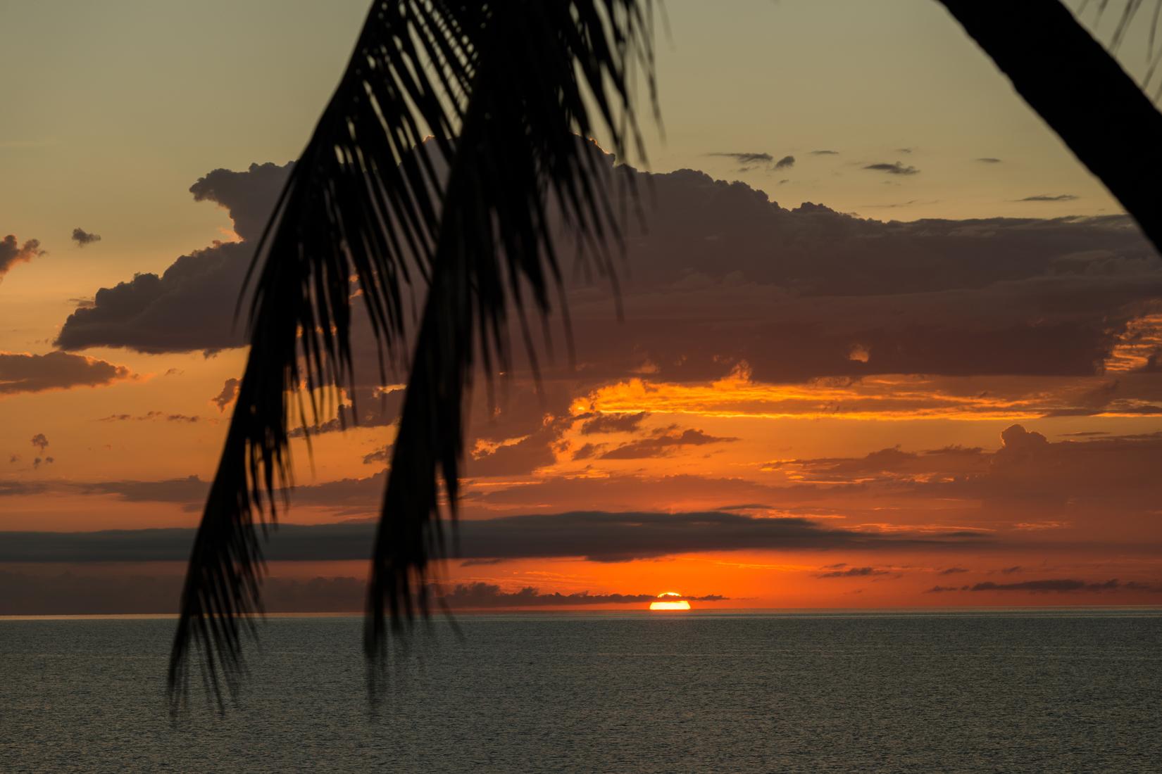 Sandee - Thala Beach Nature Reserve