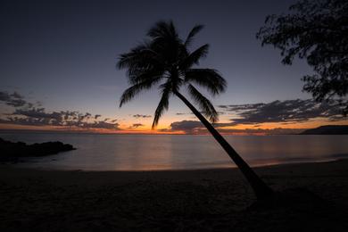 Sandee - Thala Beach Nature Reserve