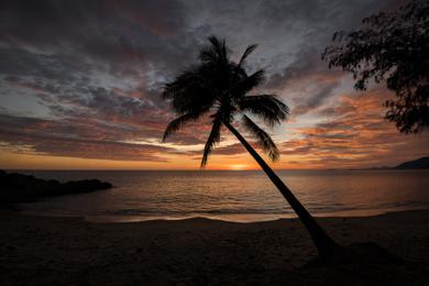 Sandee - Thala Beach Nature Reserve