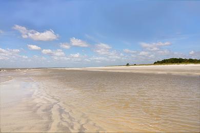 Sandee - Captain Jekyll Island