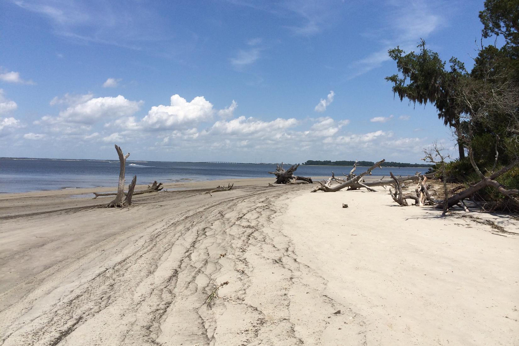 Sandee - HomePage / Jekyll Island