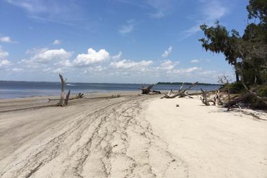 Sandee - Captain Jekyll Island