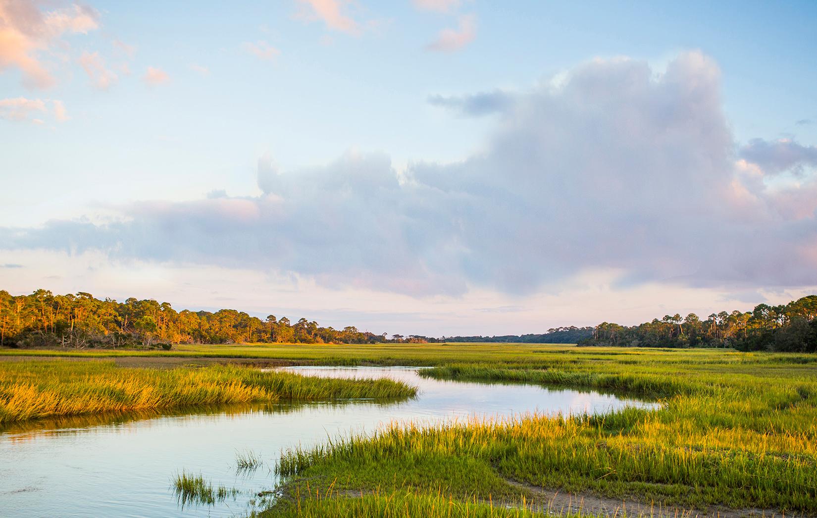 Sandee - Captain Jekyll Island