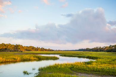 Sandee - Captain Jekyll Island