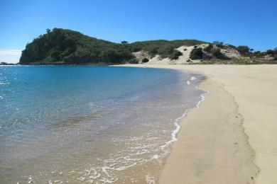 Sandee Great Keppel Island Photo