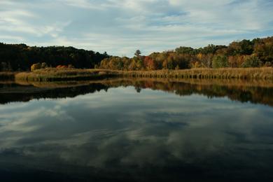 Sandee Chestnut Ridge Photo