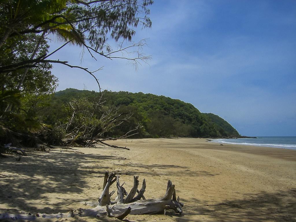 Sandee - Daintree National Park River Cruise