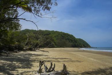 Sandee - Daintree National Park River Cruise