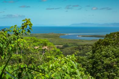 Sandee Daintree National Park River Cruise Photo