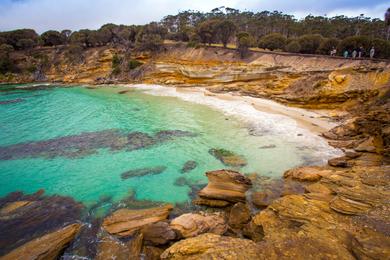 Sandee - Maria Island Walk