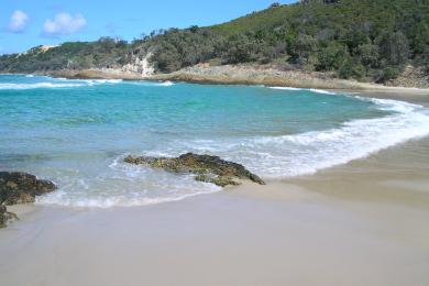 Sandee Honeymoon Island
