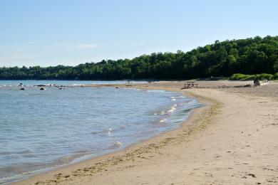 Sandee Sandy Beach