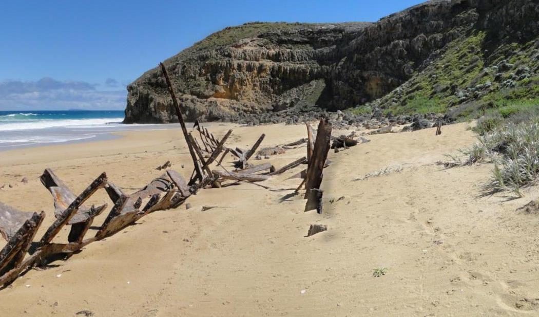 Sandee Ethel Wreck Beach Photo