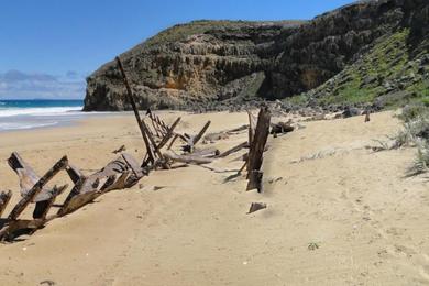 Sandee Ethel Wreck Beach Photo