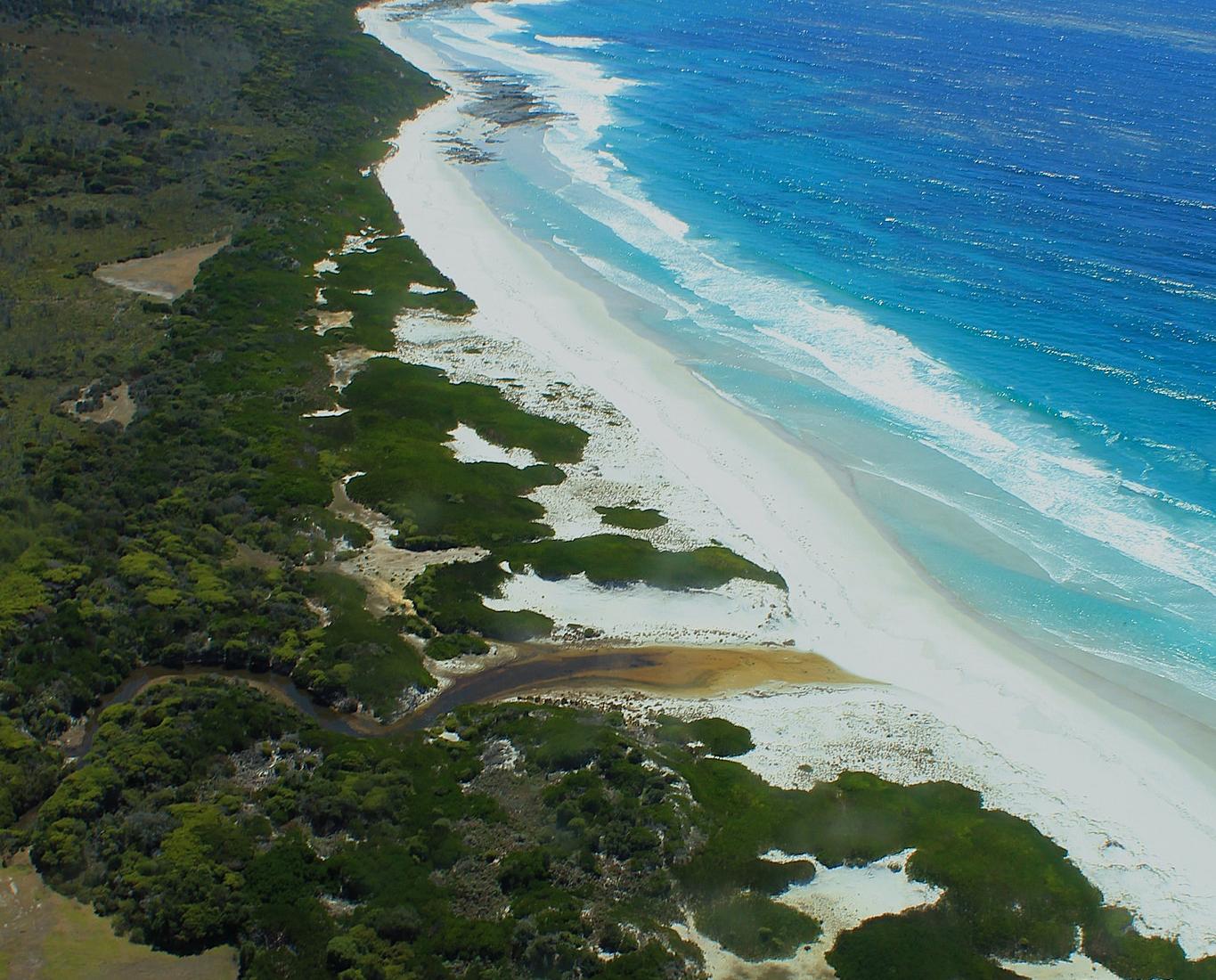 Sandee - Friendly Beaches