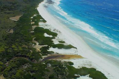 Sandee - Friendly Beaches