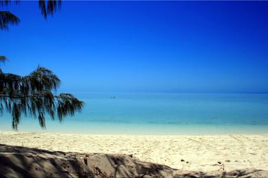 Sandee Heron Island Photo