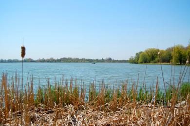 Sandee Darlington Provincial Park Photo