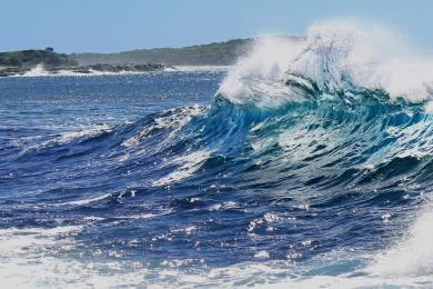 Sandee Bluff Beach