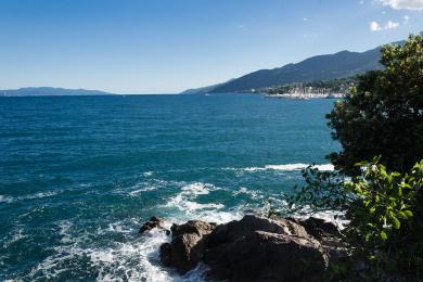 Sandee Beach Lipovica