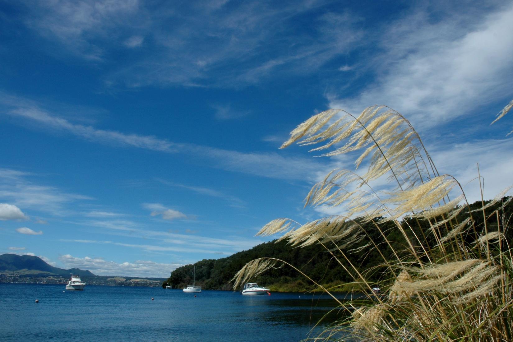 Sandee - HomePage / Acacia Bay