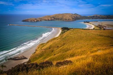 Sandee - Aramoana Beach