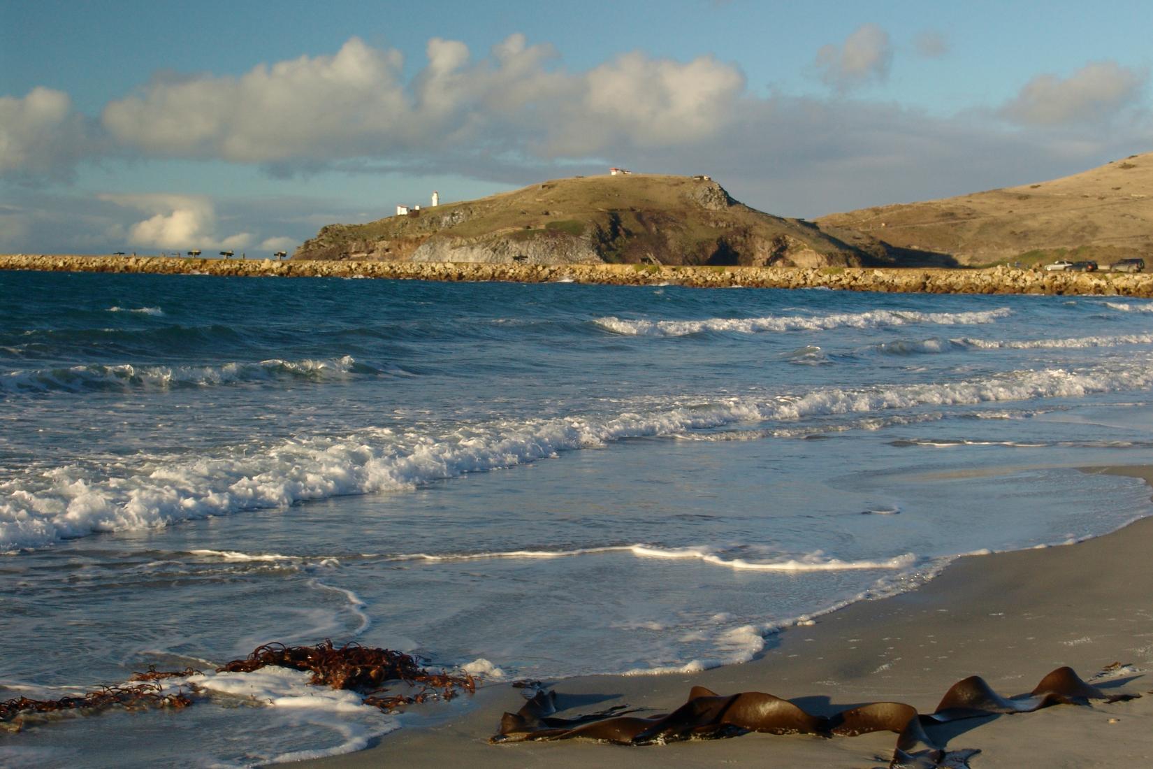 Sandee - Aramoana Beach