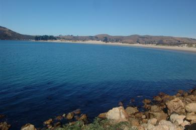 Sandee - Aramoana Beach