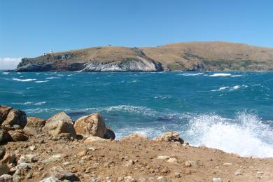 Sandee - Aramoana Beach