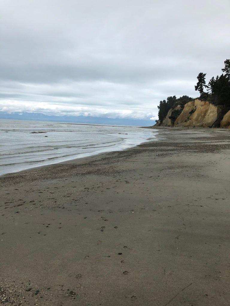 Sandee - Aramoana Beach