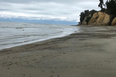 Sandee - Aramoana Beach