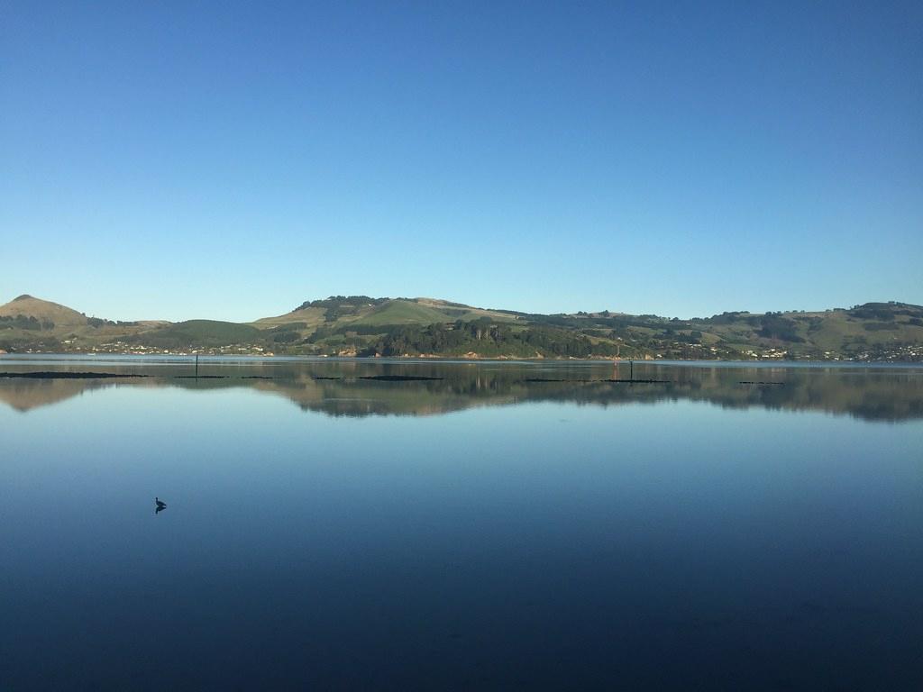 Sandee - Aramoana Beach