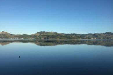 Sandee - Aramoana Beach