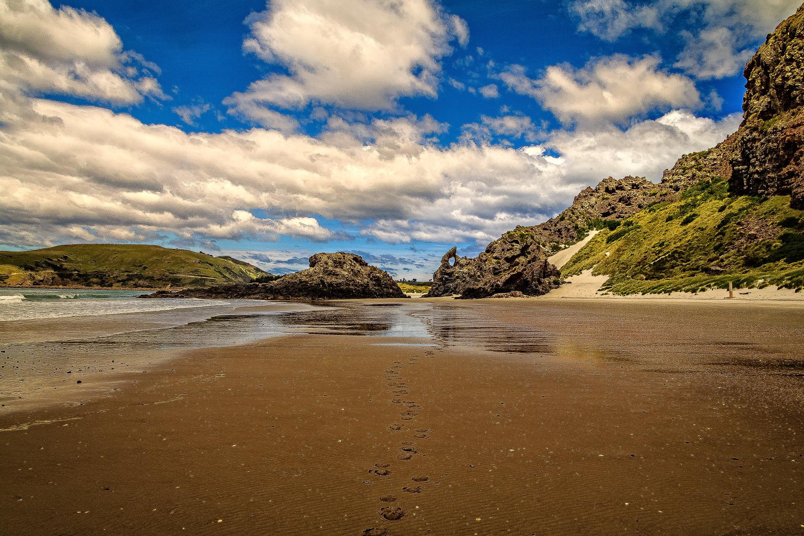 Sandee - Aramoana Beach