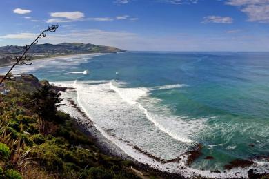 Sandee Aramoana Beach