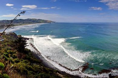 Sandee - Aramoana Beach