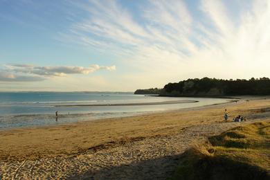 Sandee Army Bay Beach Photo