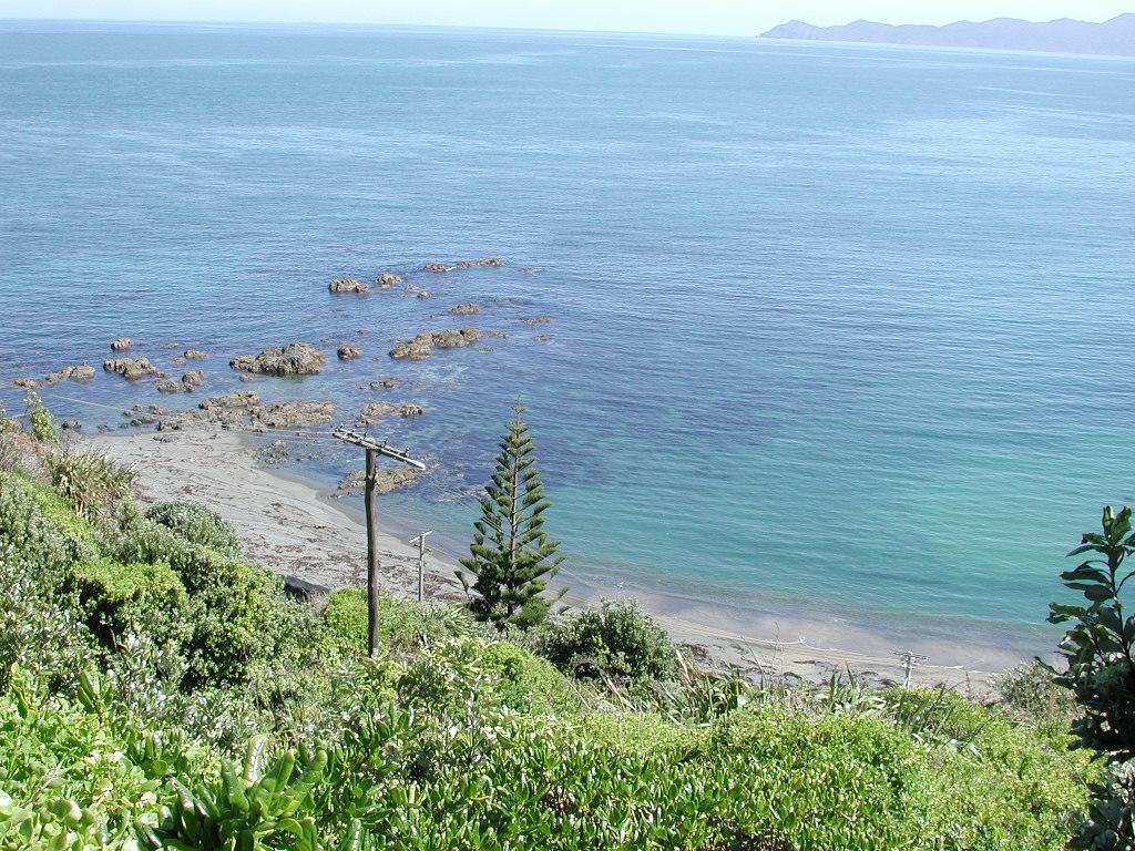 Sandee - HomePage / Pukerua Bay