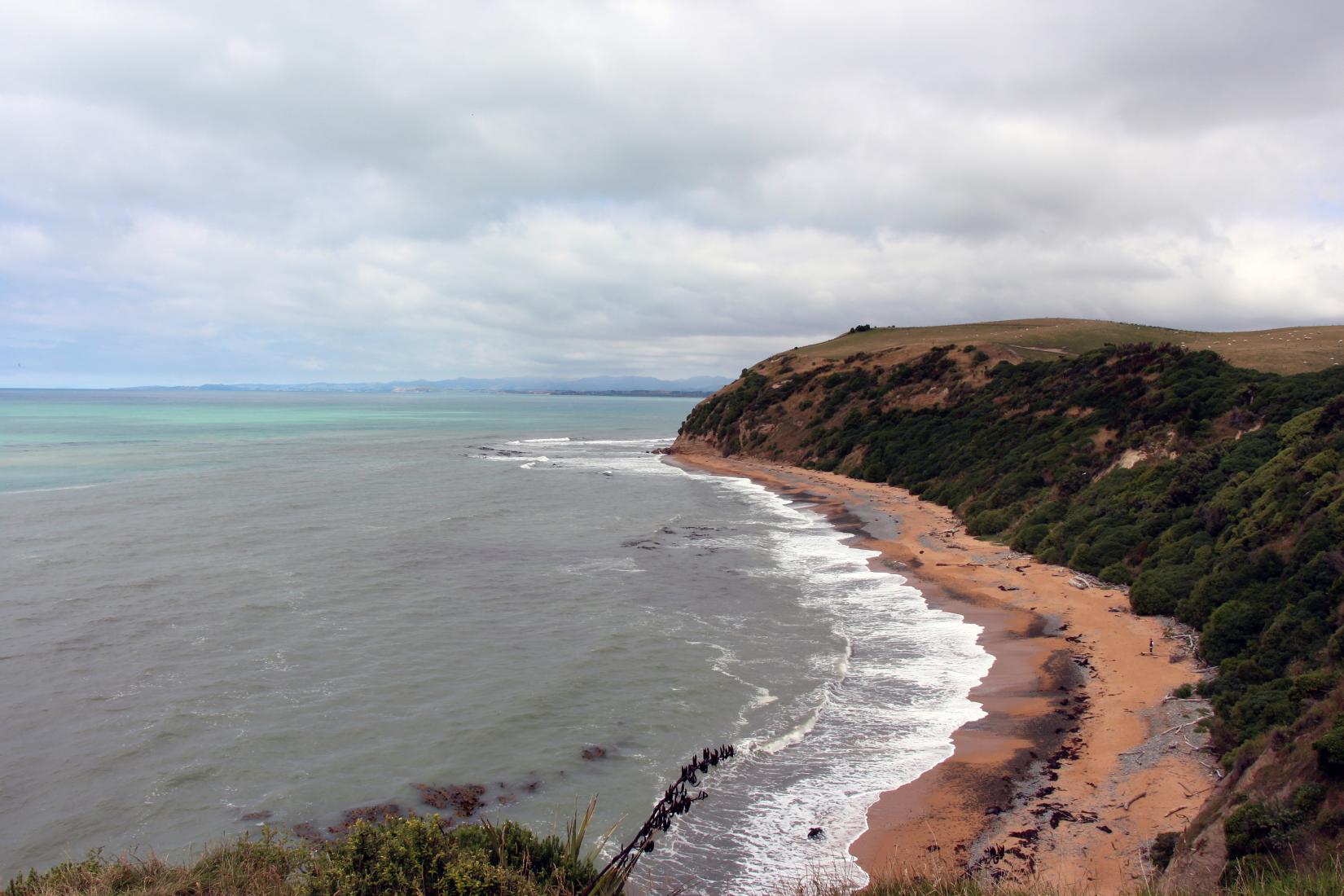 Sandee - Bushy Beach