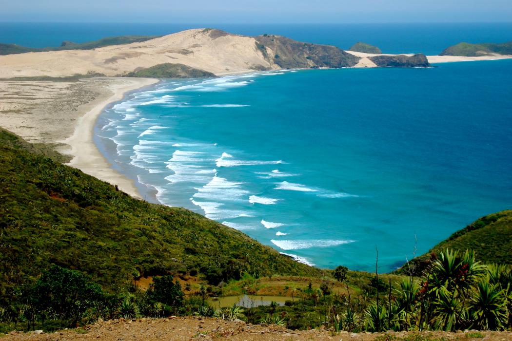 Sandee Cape Reinga Photo