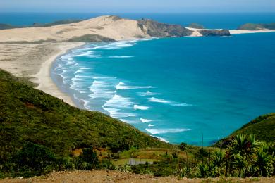 Sandee Cape Reinga Photo