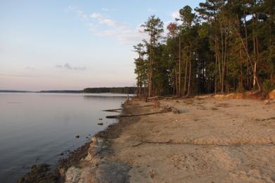 Sandee Jordan Lake Photo