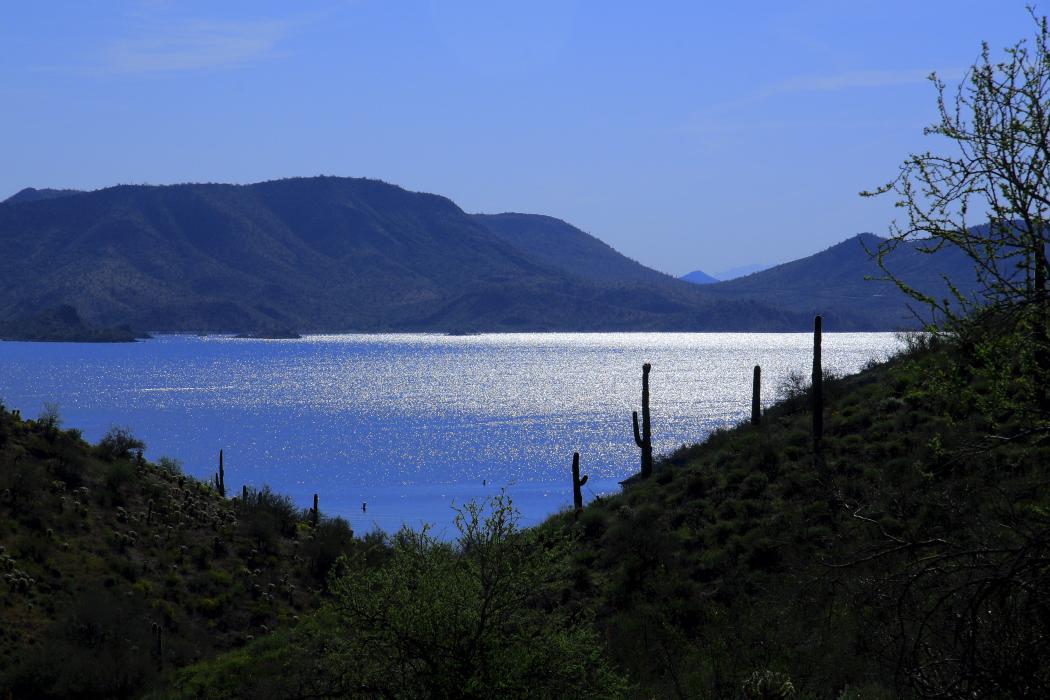 Sandee Lake Pleasant Regional Park