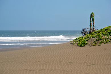 Sandee Parangtritis Beach Photo