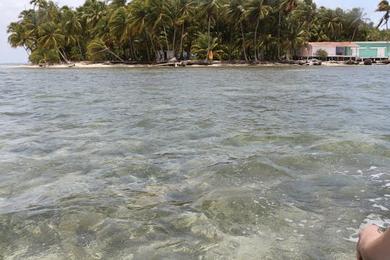Sandee Isla Lime Cay Beach