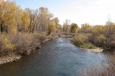 Sandee - Chatfield State Park Beach