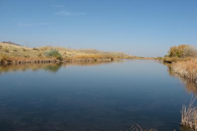 Sandee - Chatfield State Park Beach