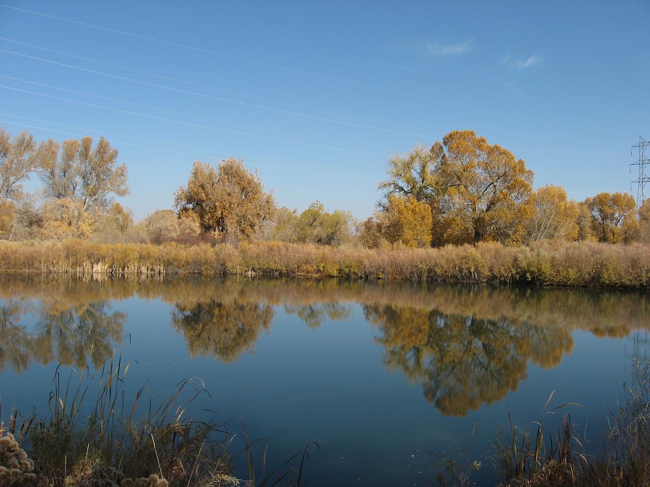 Sandee - Chatfield State Park Beach