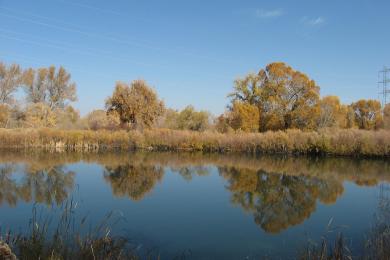 Sandee - Chatfield State Park Beach